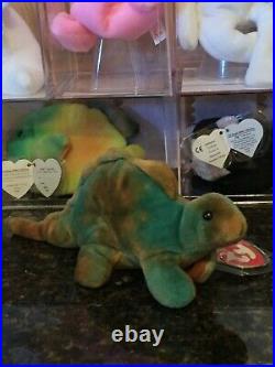 Authentic Beautiful RARE Coloring STEG the Dinosaur 3rd/1st Gen Ty Beanie Baby