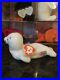 Authentic_Rare_SEAMORE_the_Seal_3rd_2nd_Generation_Ty_Beanie_Baby_MWMT_MQ_01_bw