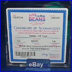 Authenticated Teddy OF Teal (Ultra Rare) MWMT MQ 1st/1st gen Ty Beanie AP 11