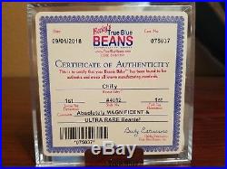 Authenticated Ty Beanie Baby Rare Chilly 1st/1st Gen Hang Tush Tag Bear