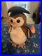 Beanie_Babies_Wise_The_Owl_Toy_Multiple_Errors_Rare_01_jyxm