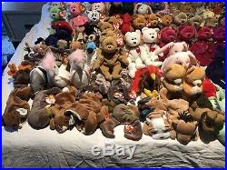 Beanie Baby Massive Collection RARE