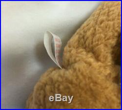 CURLY Ty Beanie Baby bear retired rare tag errors origiinal suface 1993 1996