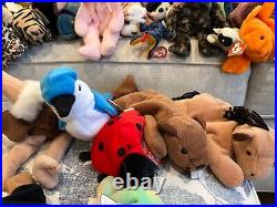 ENTIRE RARE BEANIE BABY COLLECTION Free shipping, MINT condition