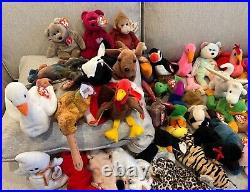 ENTIRE RARE BEANIE BABY COLLECTION Free shipping, MINT condition