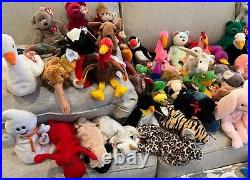 ENTIRE RARE BEANIE BABY COLLECTION Free shipping, MINT condition