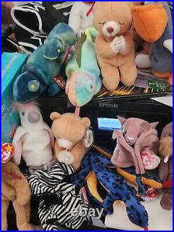 EXTREMELY RARE Ty BEANIE BABY LOT! MULTIPLE ERRORS AND UNIQUE FINDS