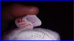 Extremely Rare Errors TY Beanie Babie Peace Bear with Tag Retired