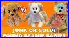 Found_A_Bunch_Of_Beanie_Babies_How_Much_Are_They_Worth_01_ix