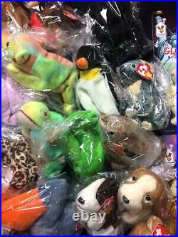 Huge Lot of TY Beanie Babies, Teenie & Plush Toys Some Rare withErrors