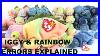 Iggy_U0026_Rainbow_Ty_Beanie_Babies_Iguana_U0026_Chameleon_Errors_Explained_Value_Review_Info_Bbtoys_01_tepy