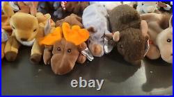 Lot Of 99 Beanie Babies, Many Rare And 1st Generation
