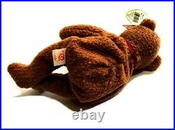 NEW Rare Retired TY Beanie Baby'CURLY' The Bear 04-12-96 with Many Errors WOW