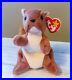 NWT_TY_Original_Beanie_Baby_Nuts_Squirrel_1996_RARE_With_Tag_Errors_01_dry