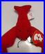 PINCHERS_Beanie_Baby_1993_Rare_Retired_PVC_Pellets_Mint_Condition_01_veug
