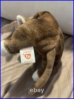 Pounce The Cat beanie baby 1997 Rare With Errors