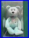 RARE_2000_TY_Beanie_Baby_Bear_Ariel_with_ERRORS_In_Memory_Of_Ariel_Glaser_01_wkf