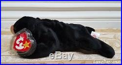 RARE & AUTHENTICATED Ty Beanie Baby withERRORS Blackie Bear MWMT MQ withCoA