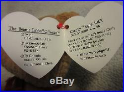 RARE Curly The Bear Ty Beanie Baby Original With Multiple Errors/Rarities