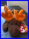 RARE_PVC_PELLET_beanie_baby_Chocolate_the_Moose_1993_01_okbq