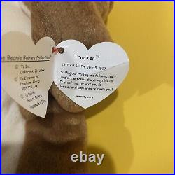 RARE Retired Ty Beanie Baby Tracker Retired WITH TAG ERRORS 97-98 Stamp 618