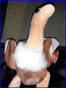 RARE TAG ERROR? TY BEANIE BABY STRETCH the Ostrich (6.5 in)