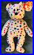 RARE_TY_Beanie_Baby_TY2K_the_Bear_with_Multiple_TAG_ERRORS_Retired_01_wato