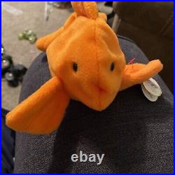 RARE! Ty Beanie Babies Goldie Factory Missing Tush Tag Not Torn Off! 1993