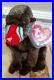 RARE_Ty_Beanie_Baby_withERROR_Cheeks_Baboon_MWMT_MQ_withTag_Protector_01_icer