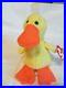 RETIRED_Ty_Beanie_Baby_QUACKERS_DUCK_ERRORS_With_Tags_RARE_MINT_PVC_01_xuw