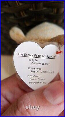 Rare 1999 SIGNATURE BEAR Beanie Baby ORIGINAL RETIRED with ERRORS MINT