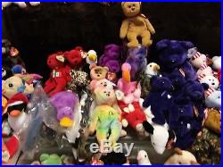 Rare Bulk Collection- 500+ Original Ty Beanie Babies, many have Tag errors