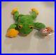 Rare_Retired_1997_Ty_Beanie_Baby_Smoochy_The_Frog_With_Pe_Pellets_tag_Errors_01_ef