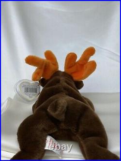 Rare Retired Ty Beanie Baby Chocolate The Moose 1993 Pellets W Errors & Tag Mint