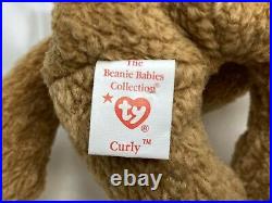 Rare Retired Ty Beanie Baby Curly The Bear 1993 1996 Bear With Numerous Errors