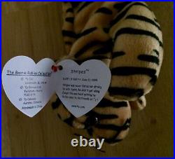 Rare Ty Beanie Babies Stripes The Tiger Retired Errors Nwt Original Owner