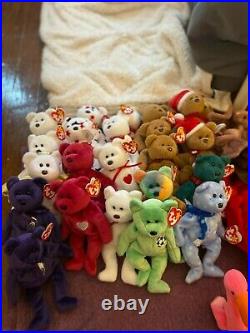 Rare Valentina Bear Retired Ty Beanie Baby Babies with Errors 1998 NWT