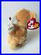 Retired_1999_Ty_Beanie_Baby_HOPE_the_Praying_Bear_IMMACULATE_MWMT_RARE_01_ucvv