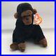 Retired_Ty_Beanie_Baby_Congo_With_Errors_Ultra_Rare_USED_01_plp