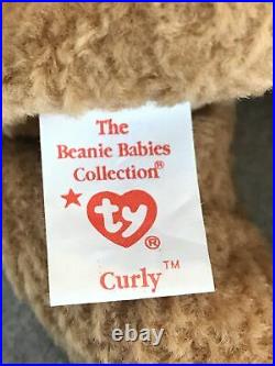 Retired Ty Beanie Baby Curly the Bear 1996 (1993) Rare Tag Errors