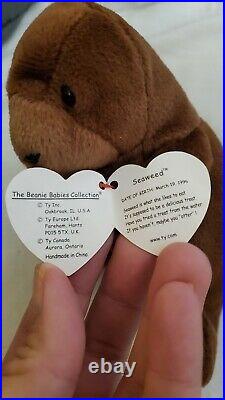Retired Ty Beanie Baby Seaweed the Otter RARE TAG ERRORS! Mint Condition
