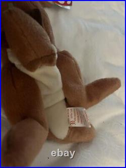 Retired rare beanie babies pouch the Kangaroo