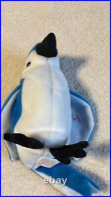 Rocket' The Blue Jay 1997 Ty Beanie Baby-rare-retired Tag Errors Mint Condition