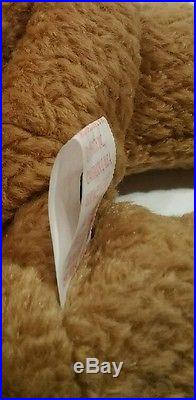 TY BEANIE BABY CURLY BEAR has many hang tag and butt tag errors RARE