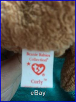 TY Beanie Babies Baby Curly Bear Very Rare With Many Errors (O. B. O.)