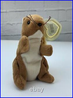 Ty Beanie Baby Nuts The Squirrel RARE 3rd Gen PVC Pellets 1996 Ships for sale online 