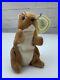 TY_Beanie_Babies_Collection_Retired_Nuts_The_Squirrel_Jan_21_1996_Rare_With_Errors_01_wwnu