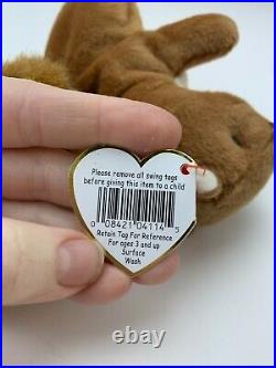 TY Beanie Babies Collection Retired Nuts The Squirrel Jan. 21,1996 Rare With Errors