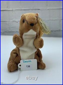 Nuts The Squirrel Beanie Baby Errors 9 Very RARE Retired 4114 Ty 1996 PVC for sale online 