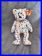 TY_Beanie_Babies_TY_2K_Bear_With_Tag_Rare_With_Errors_01_mt